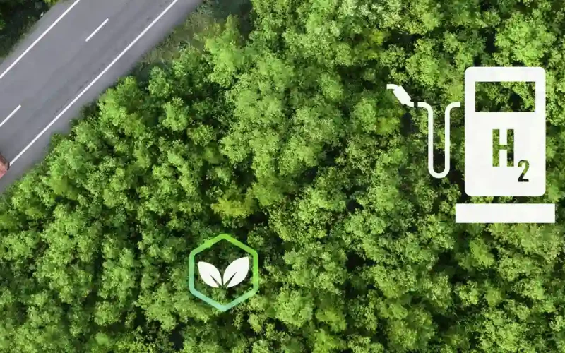 la-ruta-verde-como-la-logistica-terrestre-esta-liderando-la-sostenibilidad-en-2025